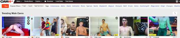 Cam4 Gay Webcam Site